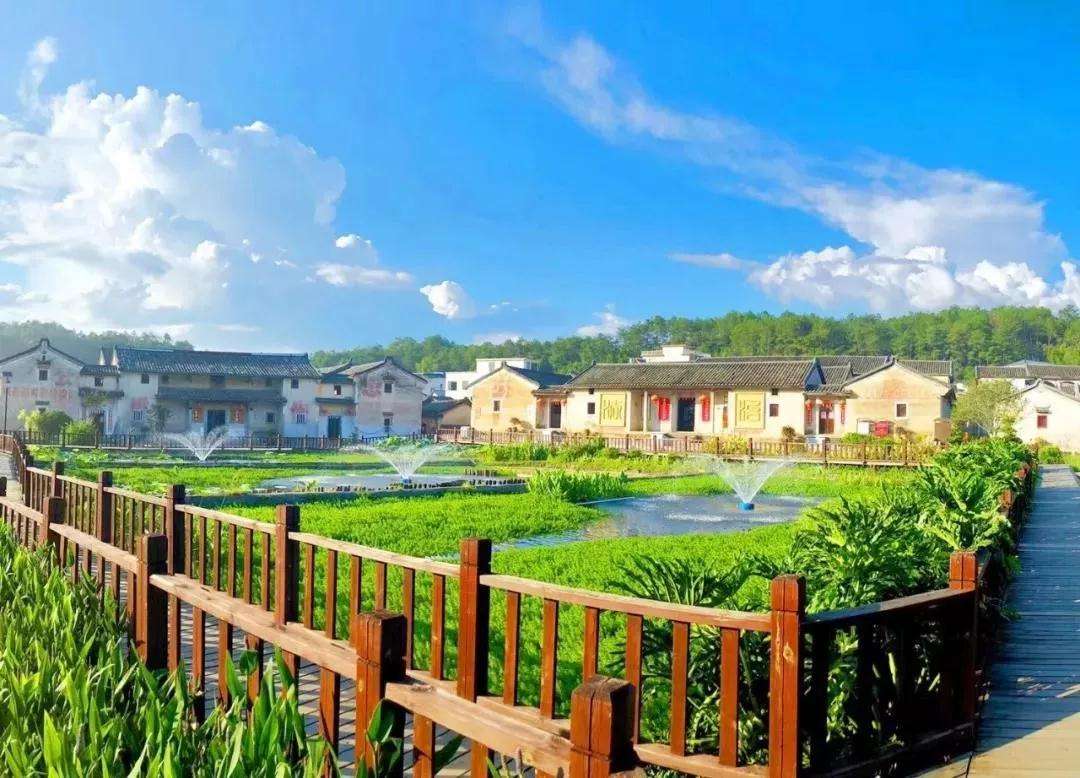 乡村振兴在农村做什么生意好见效,乡村振兴投资什么赚钱