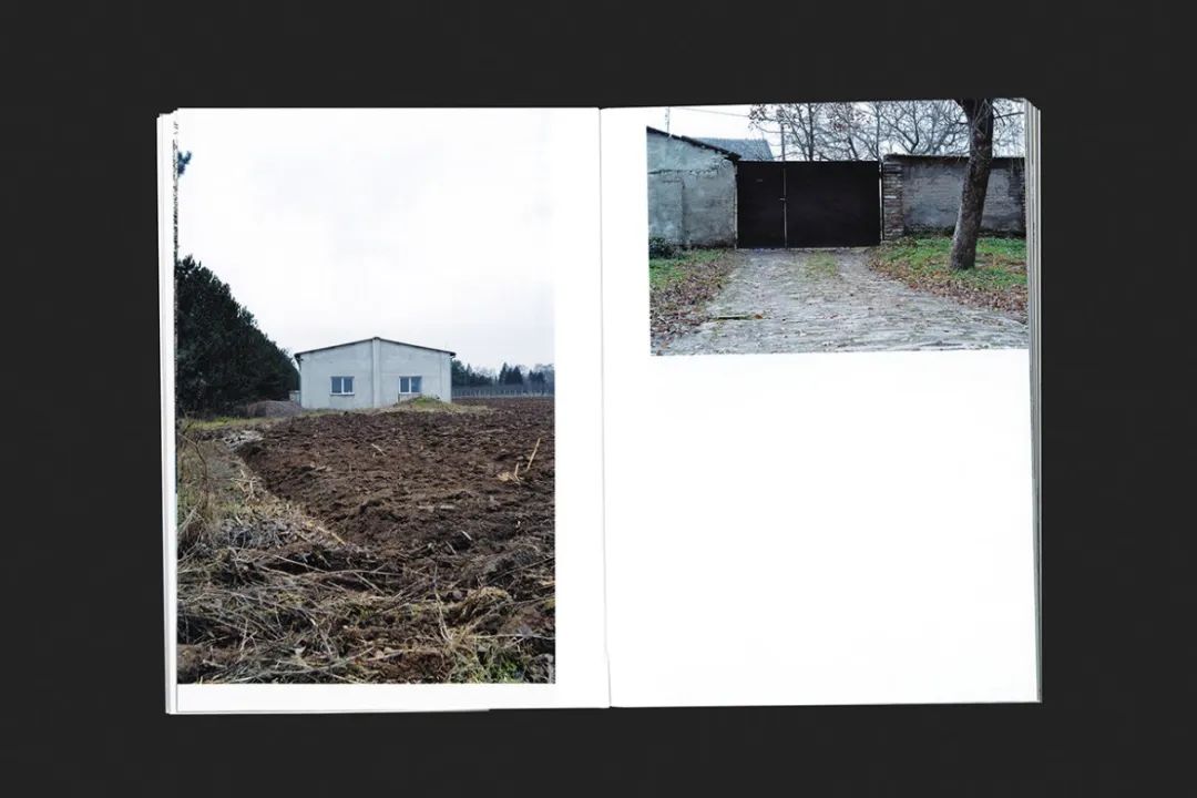 设计圈的现状,设计圈的设计风格