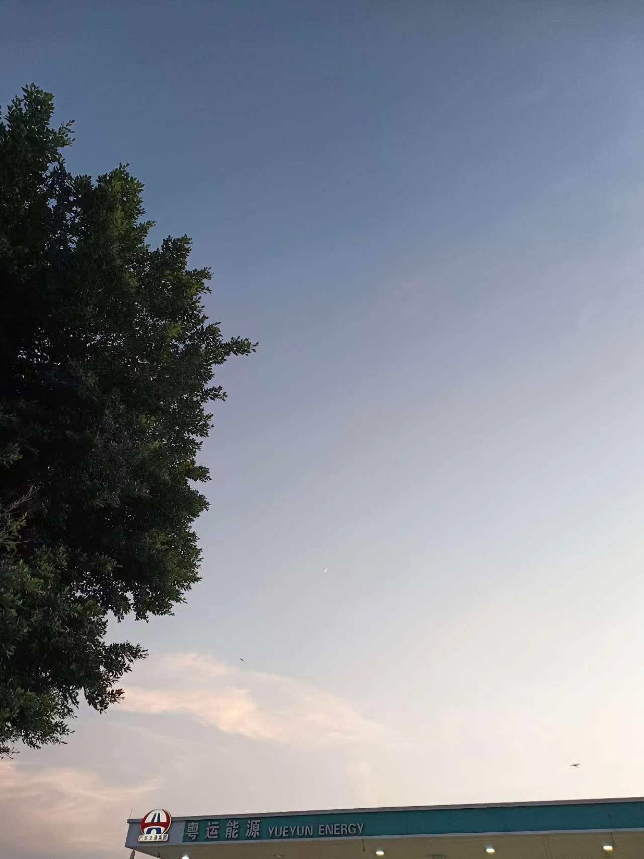 闈掓煚鑻忔墦鑹瞘ameboy,灏忓尯閲岄亣鍒颁竴涓皬鐢峰