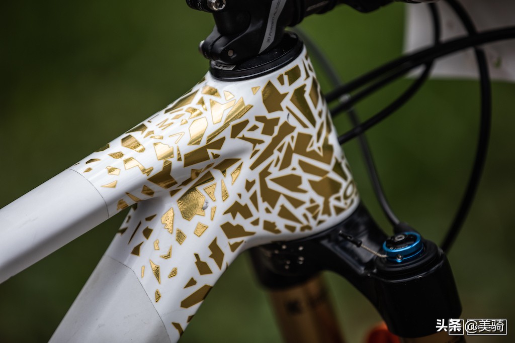 最帅的100台硬尾山地车,入门软尾山地车和顶级硬尾山地车