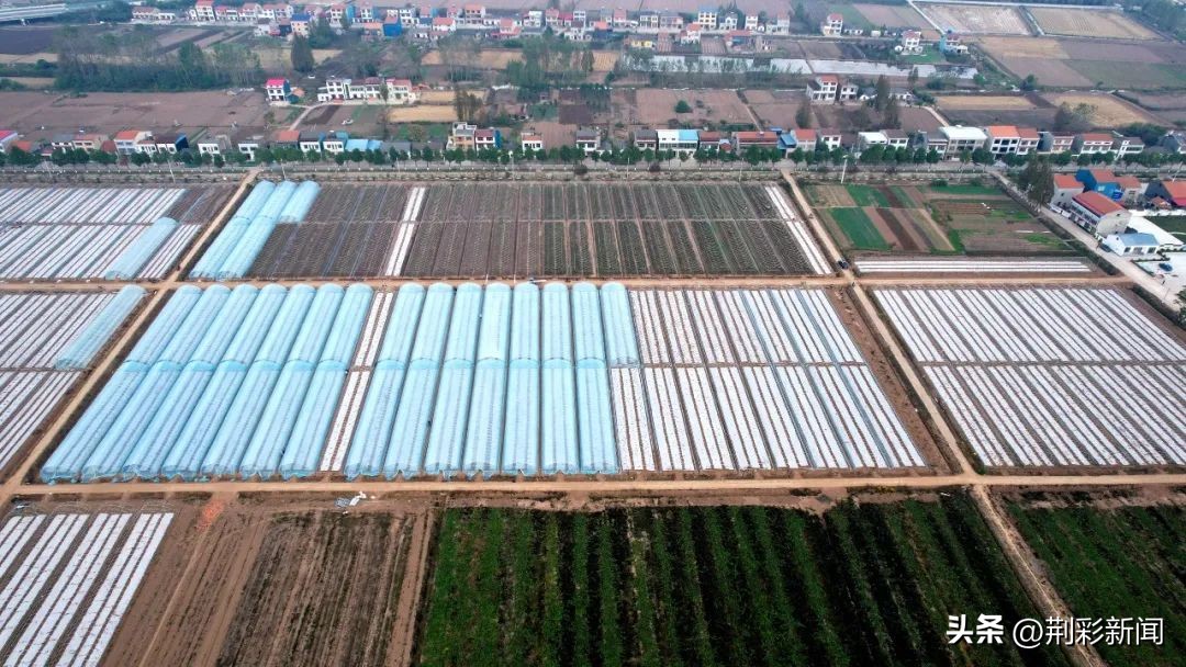 绘就新画卷领略乡村美,石首画卷