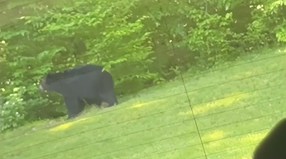 卖屁的女网红现在改卖胸部的汗了，一天能赚3万块
