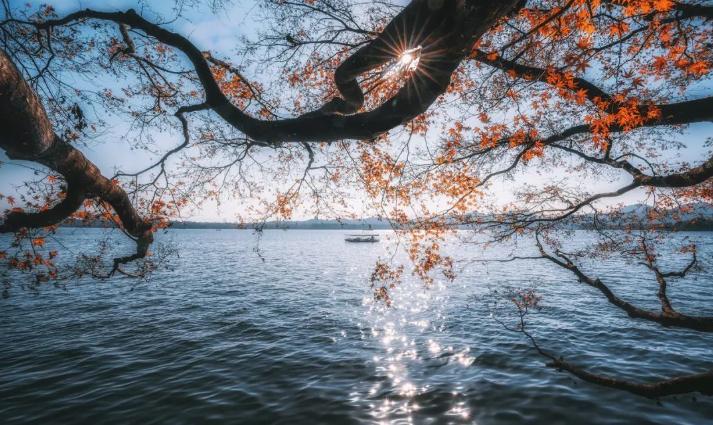 赞美西湖秋日美景的诗词,关于西湖深秋景色的唯美诗句