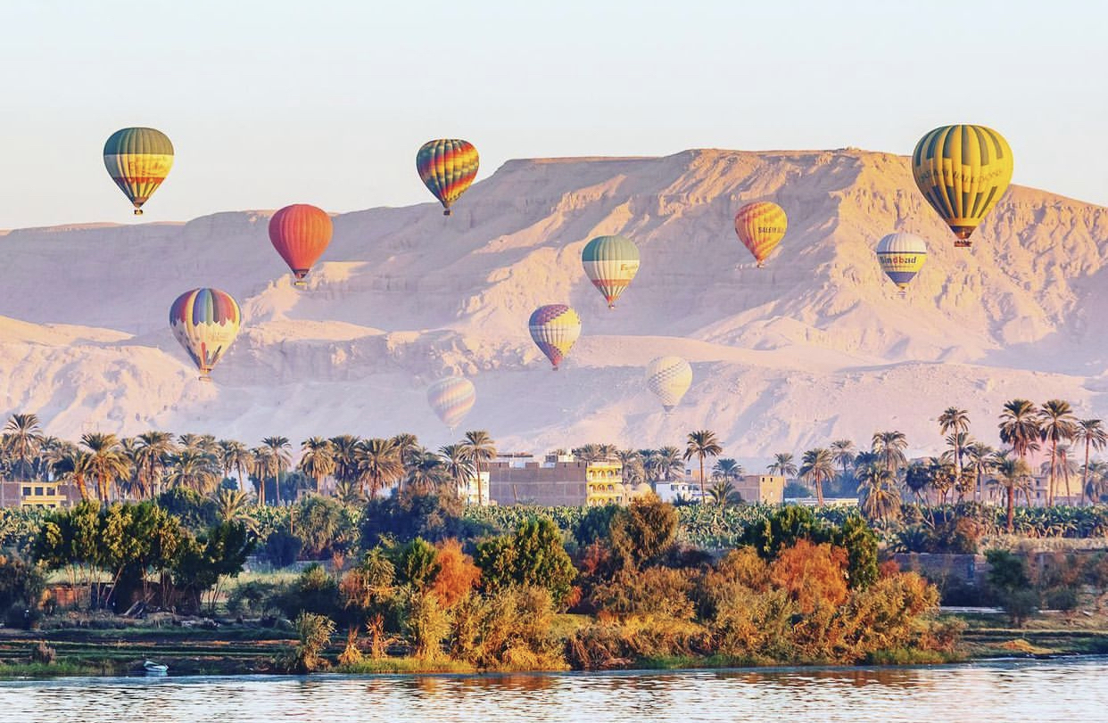 方寸之间浓缩了繁茂与文明，不一样的珠宝艺术，尼罗河花园戒指