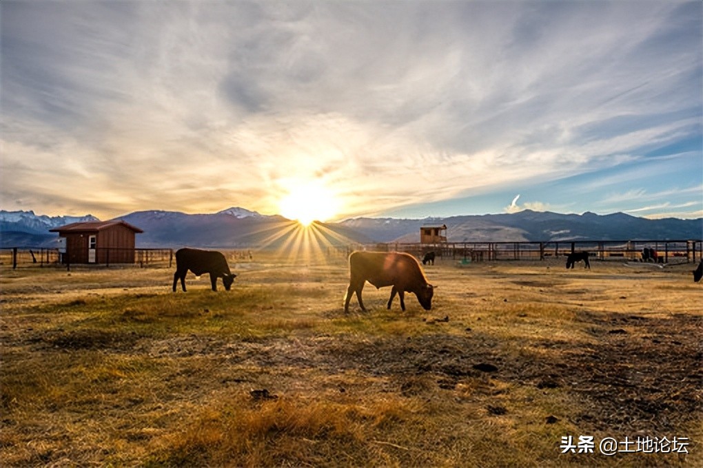 南方新兴行业创业项目,农村新兴行业创业项目