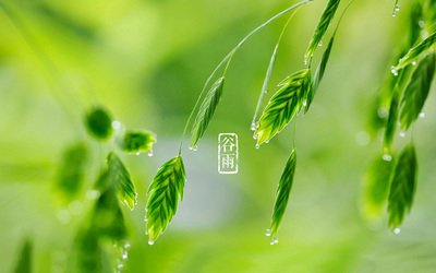 谷雨最美诗词,十首谷雨诗词留住最后一抹春色