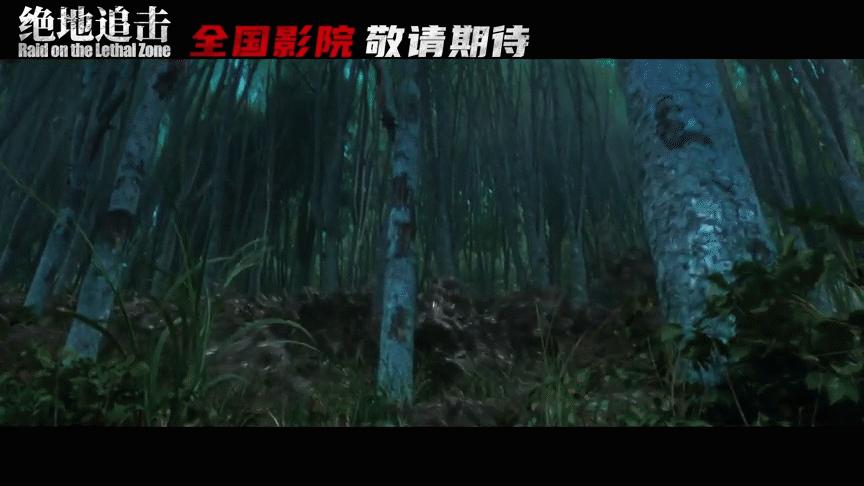 华语经典动作枪战电影,最值得看的十部电影动作大片