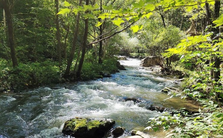 黑龙江冷门旅游城市,黑龙江省五一冷门亲子游