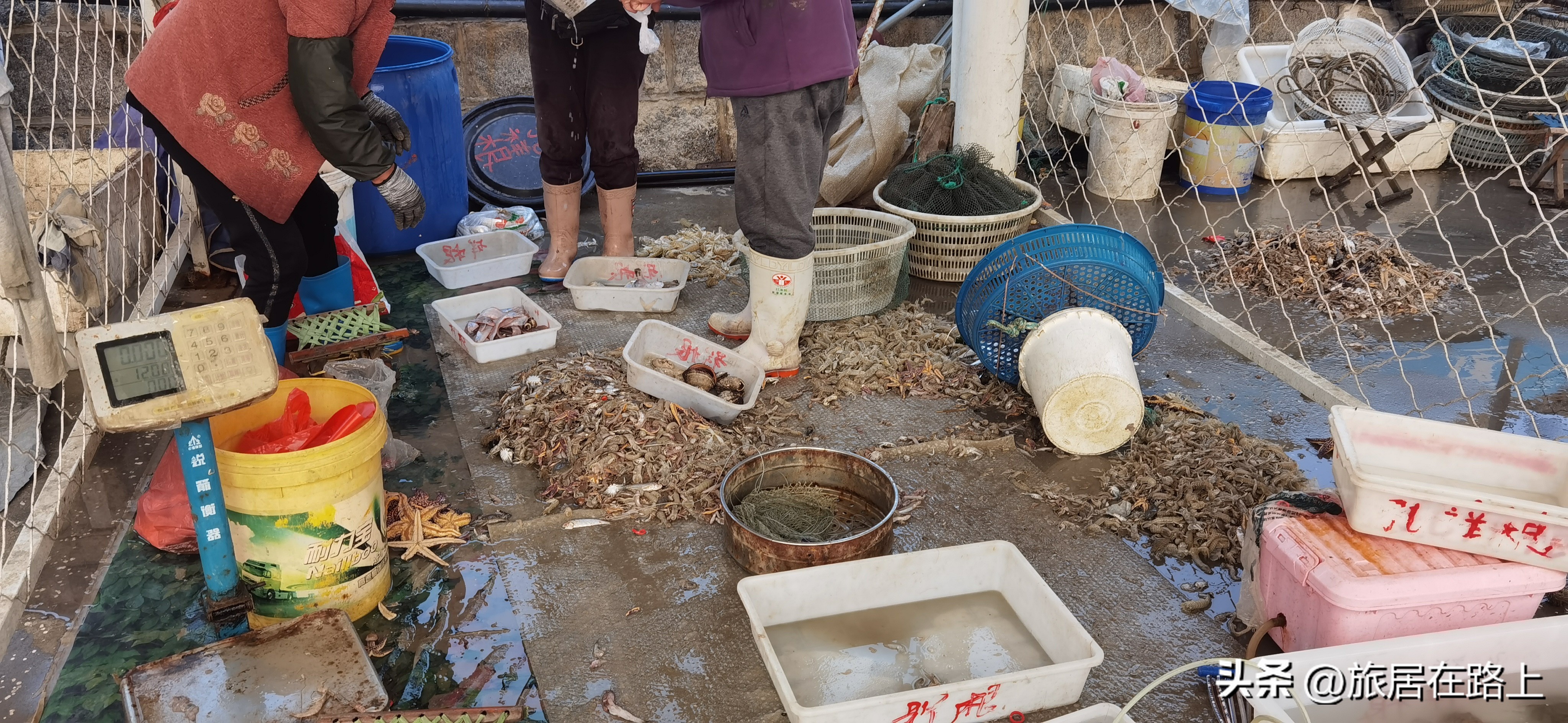 日照天气,日照直播