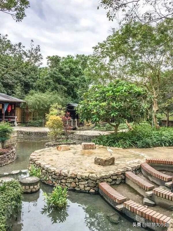 台湾电影和艋舺差不多的,宜兰鲸豚