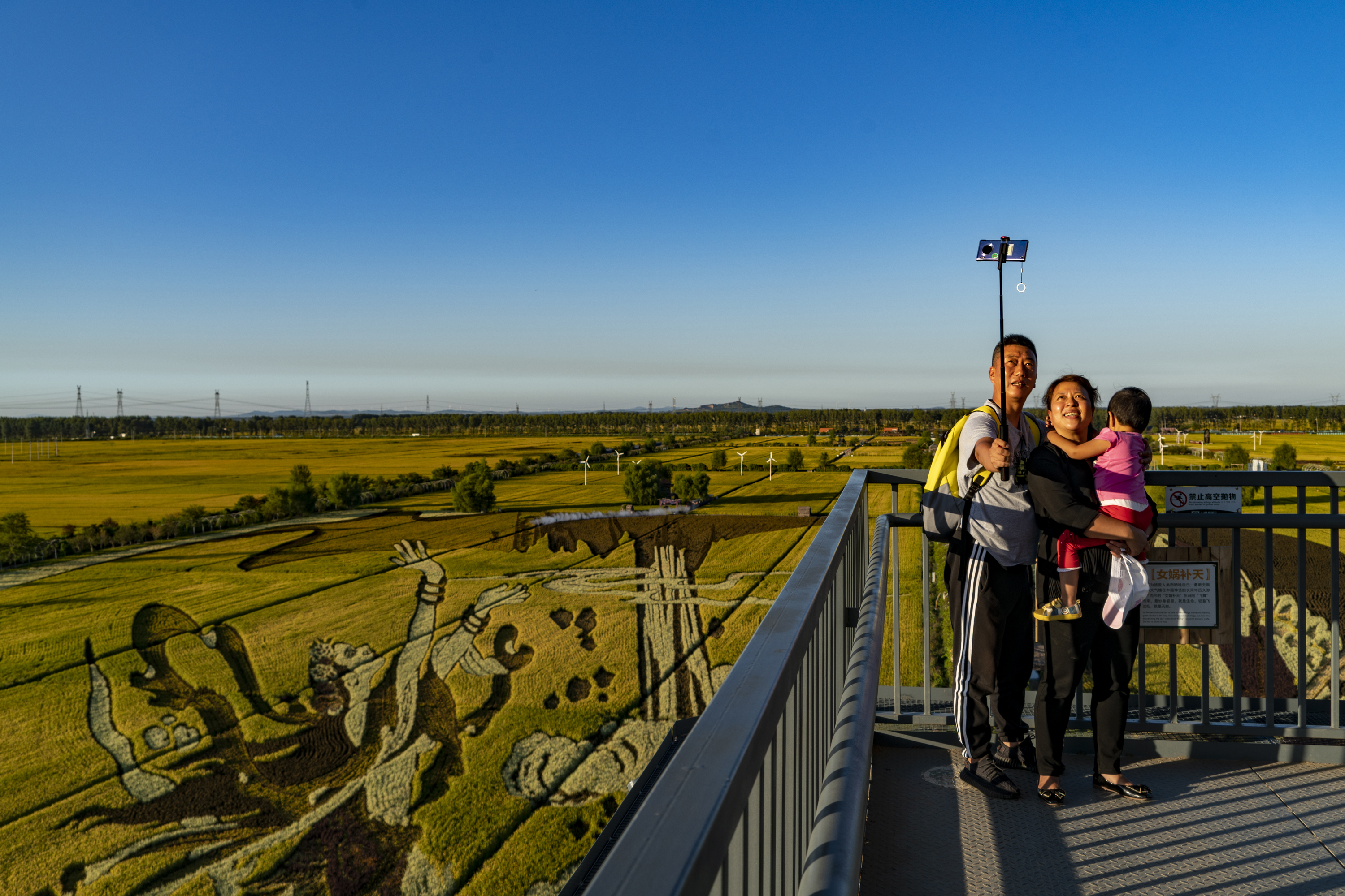 沈阳市稻梦空间,沈阳稻梦空间附近农家院