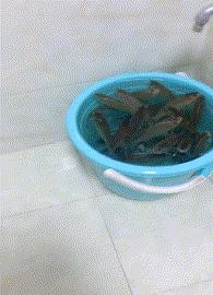 想问这姑娘衣服在哪买的,会不会挨揍?亮点