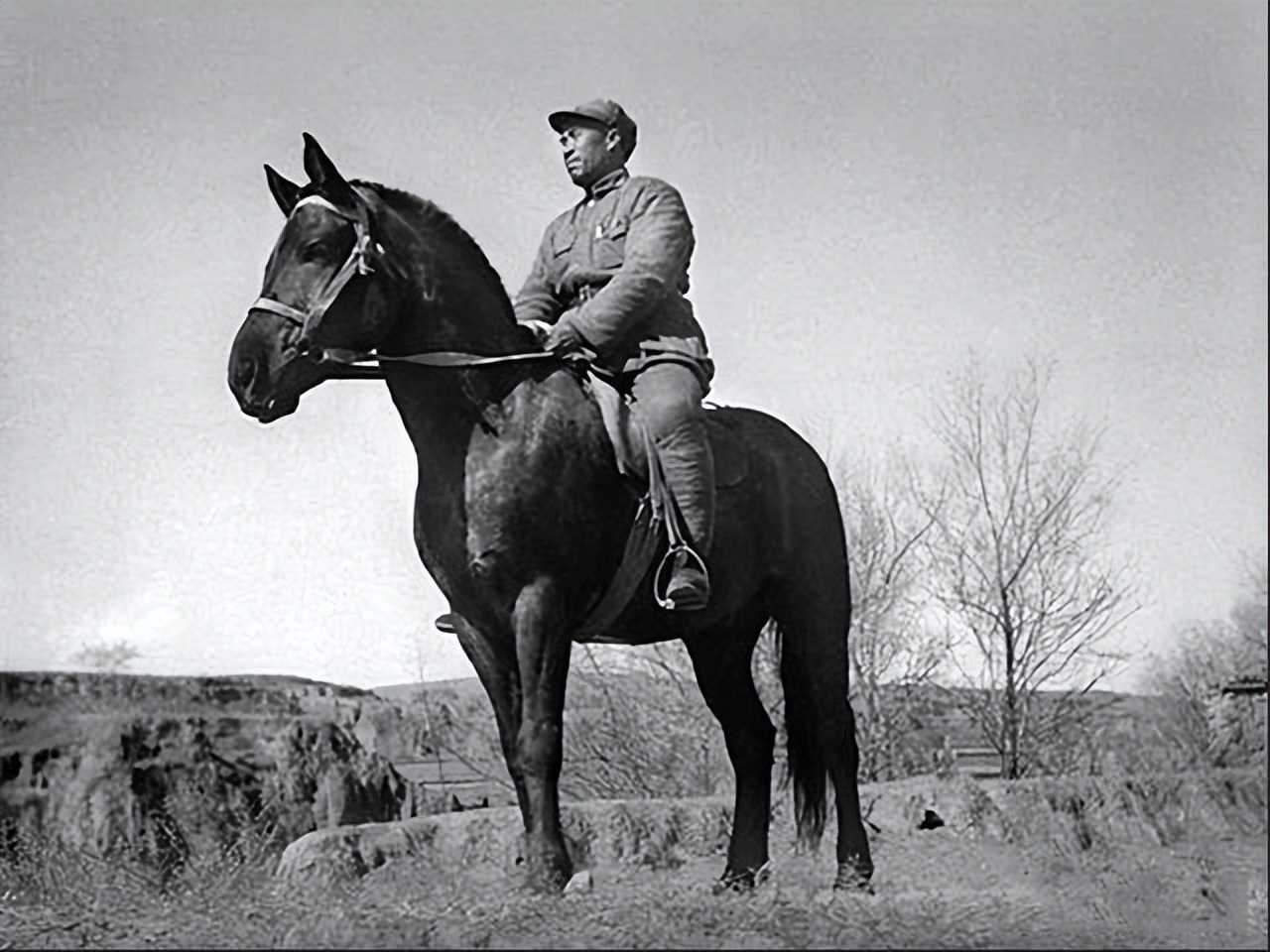 朱可夫元帅为什么那么厉害,朱可夫元帅指挥的战役