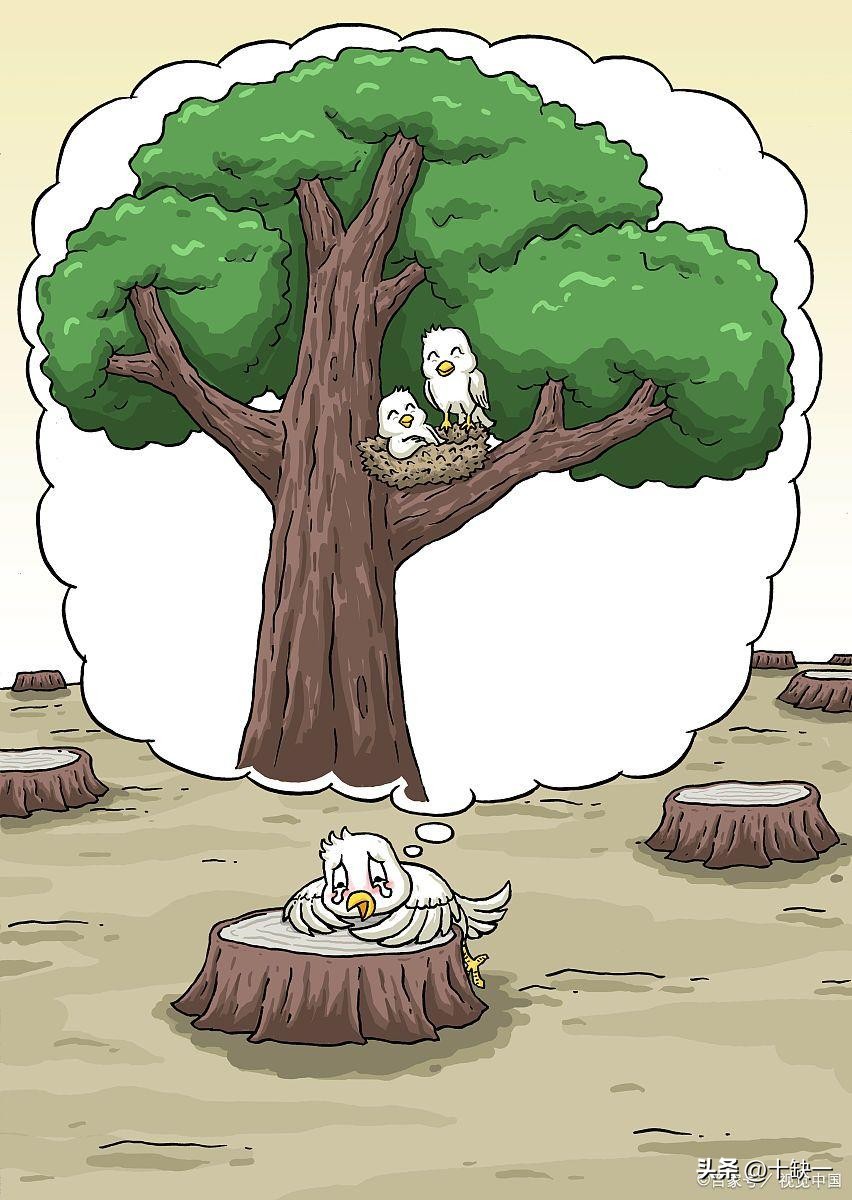 老板整天谈企业文化,老板一定要做企业文化吗