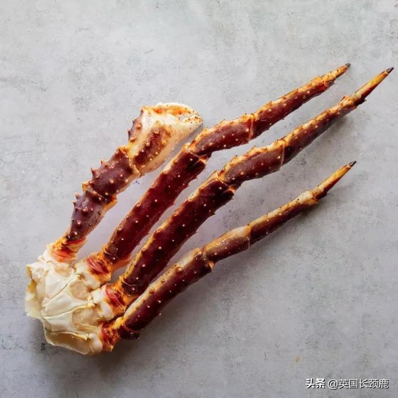 英国进口牛排,英国在线购买奶牛