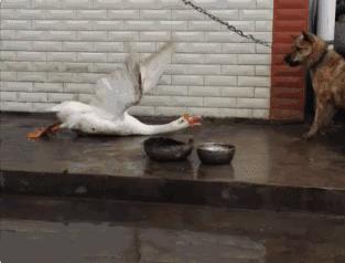 走路走累了躺下歇一歇,走路走累了坐地上