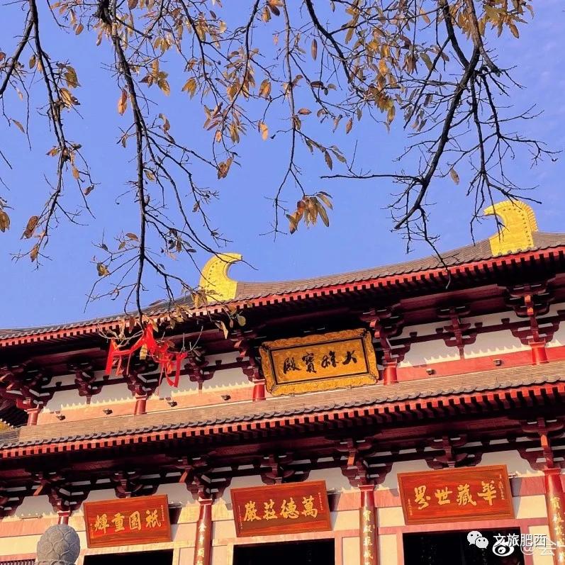 原来，在社交平台中，肥西的真实风景是这样的