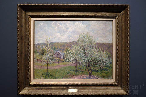 解封后苏州的堂食,苏州解封后的活动