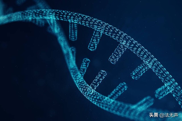 人体基因编辑的法律规制,医学伦理与卫生法规知识点