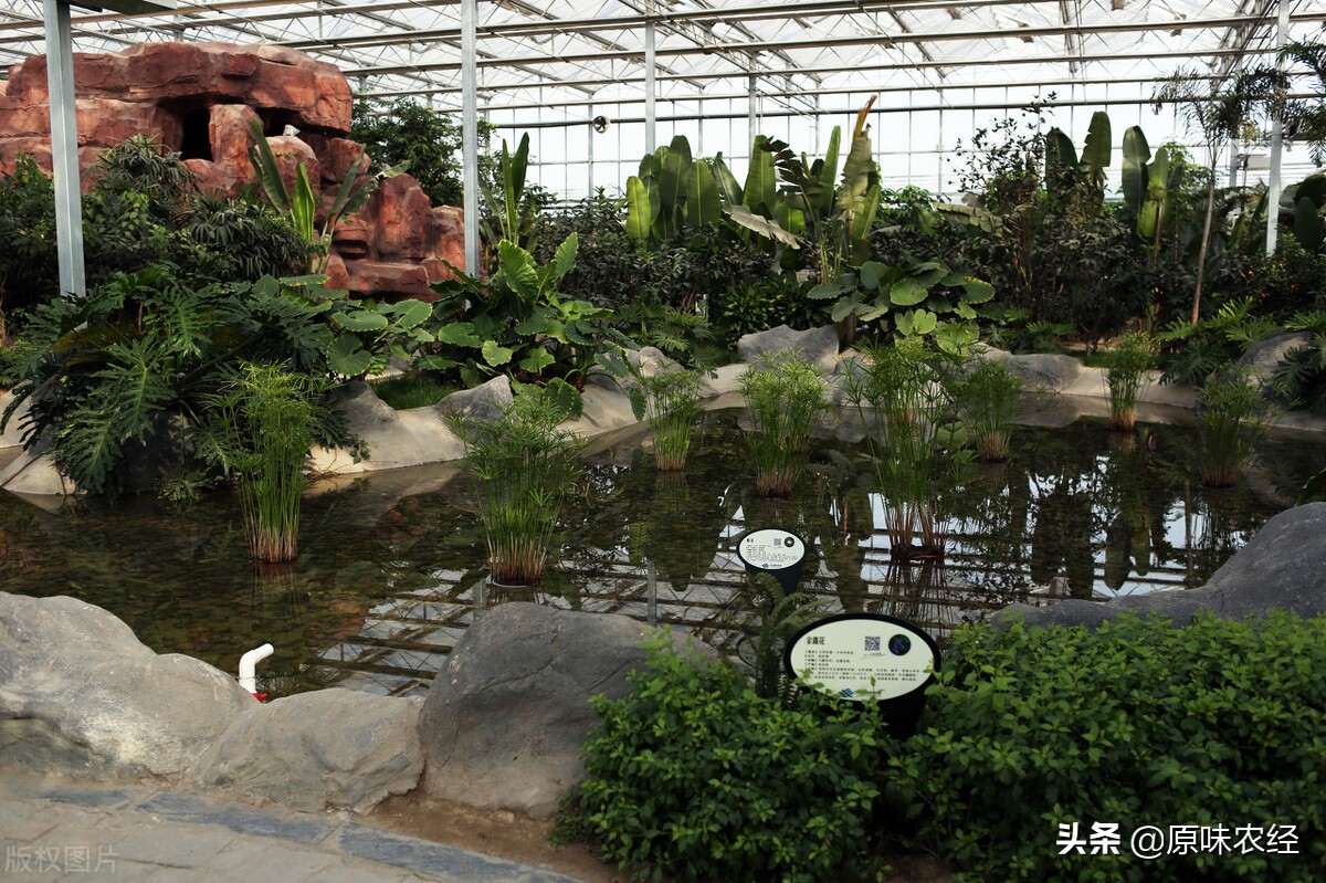 涉农贷款的政策有哪些,中央一号文件对农民补贴