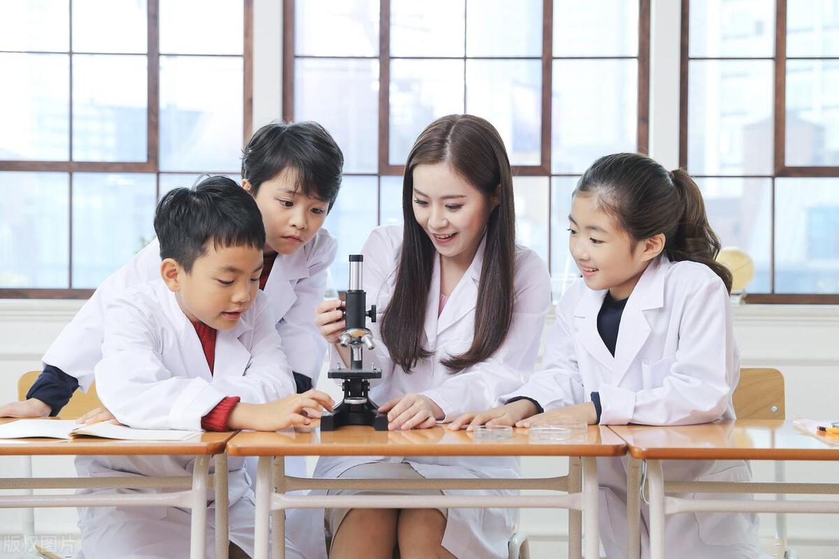 “飞虫”之扰，明教育之道|教育笔记