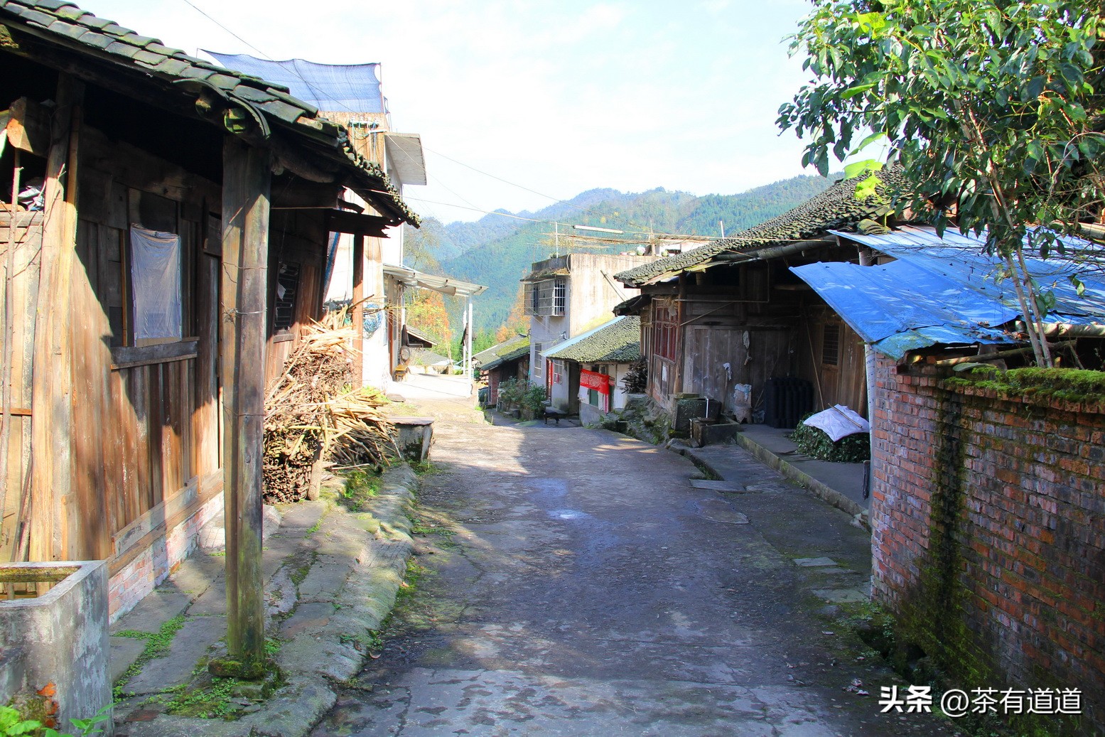 川藏南线茶马古道,四川荥经茶马古道路线图