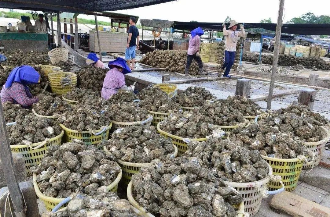 中国最美冷门旅游海岸,中国最美小众海岸线