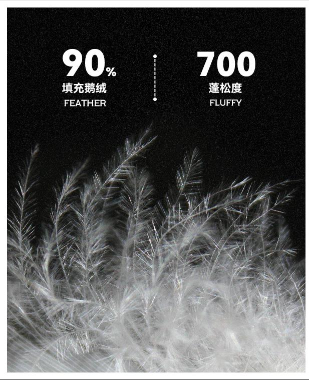 买羽绒服哪个品牌最好,男士国产羽绒服品牌十大排名