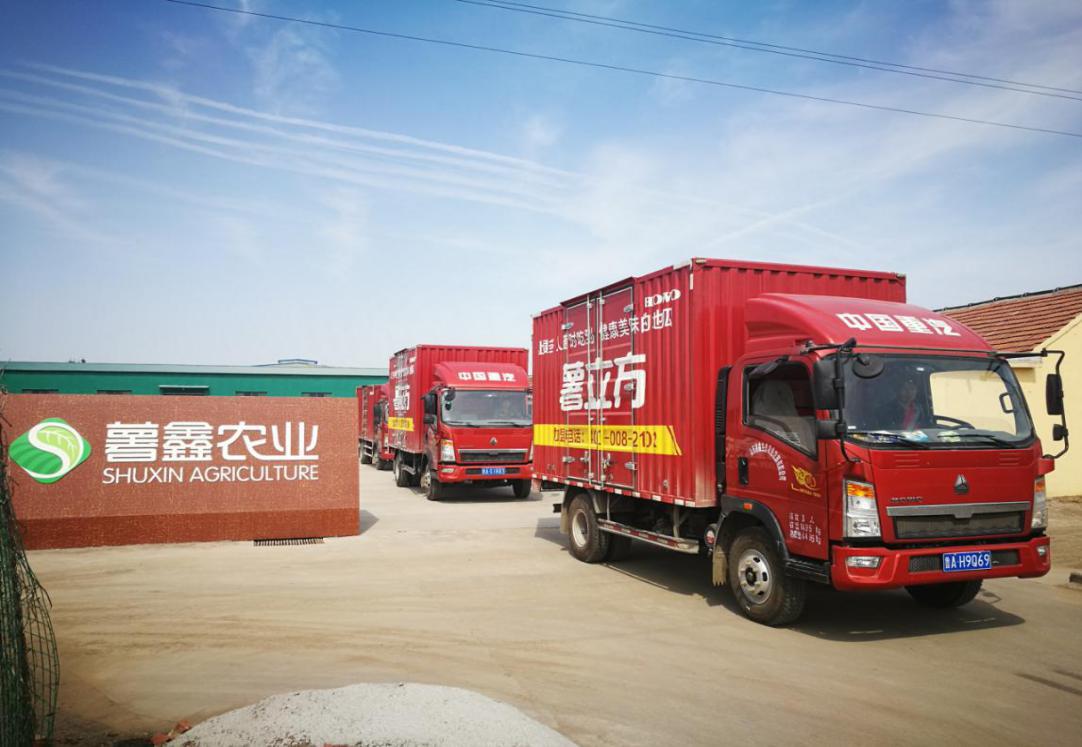 十年风雨创业视频,十年创业风雨中