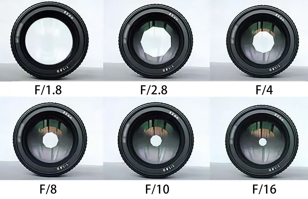 摄影人像入门选什么相机,佳能相机摄影入门教程视频