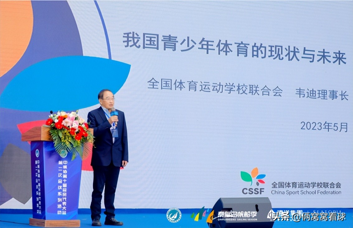 足协的韦迪,足协韦迪现在怎么样了