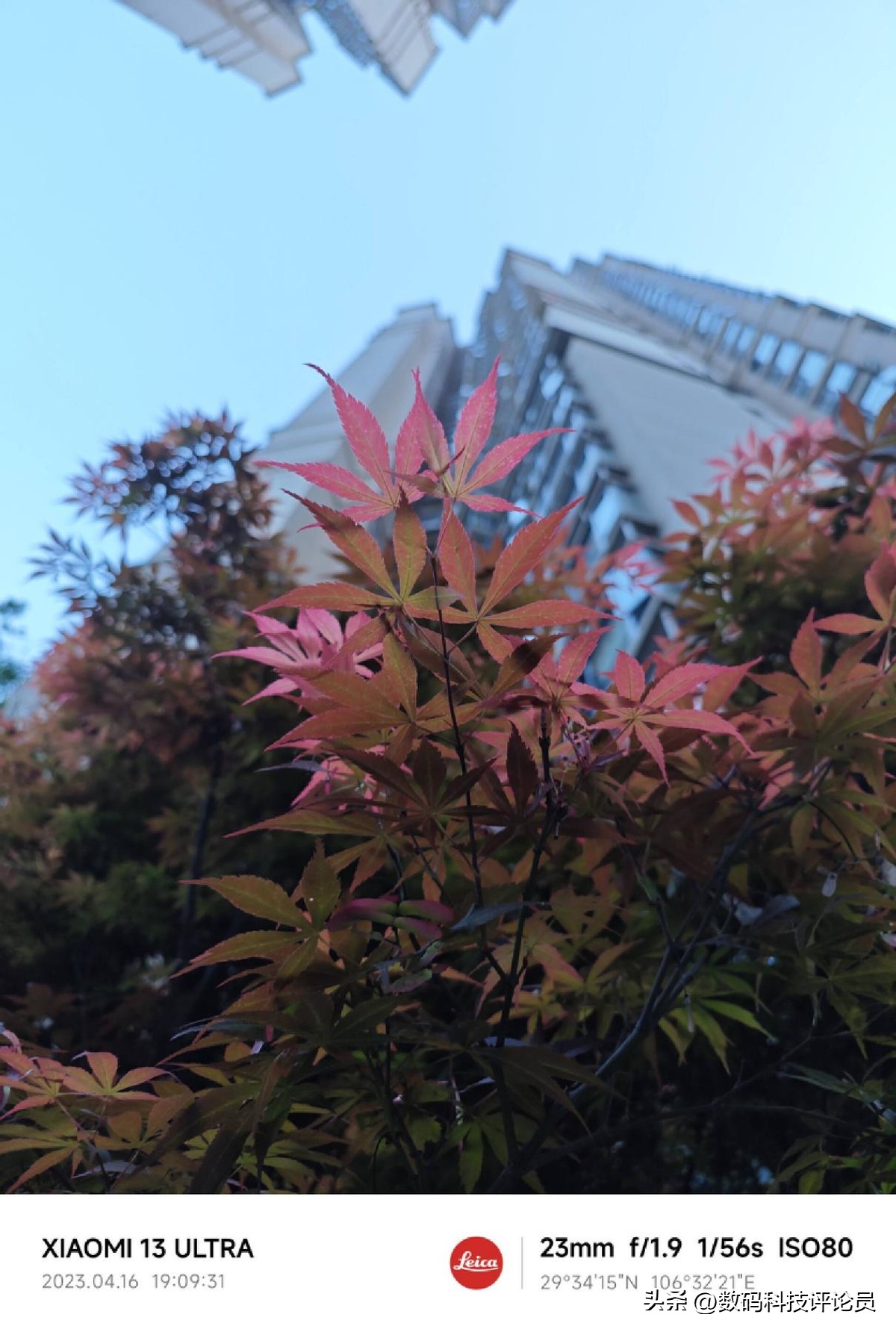 超微距镜头小米13ultra,超越小米13ultra影像