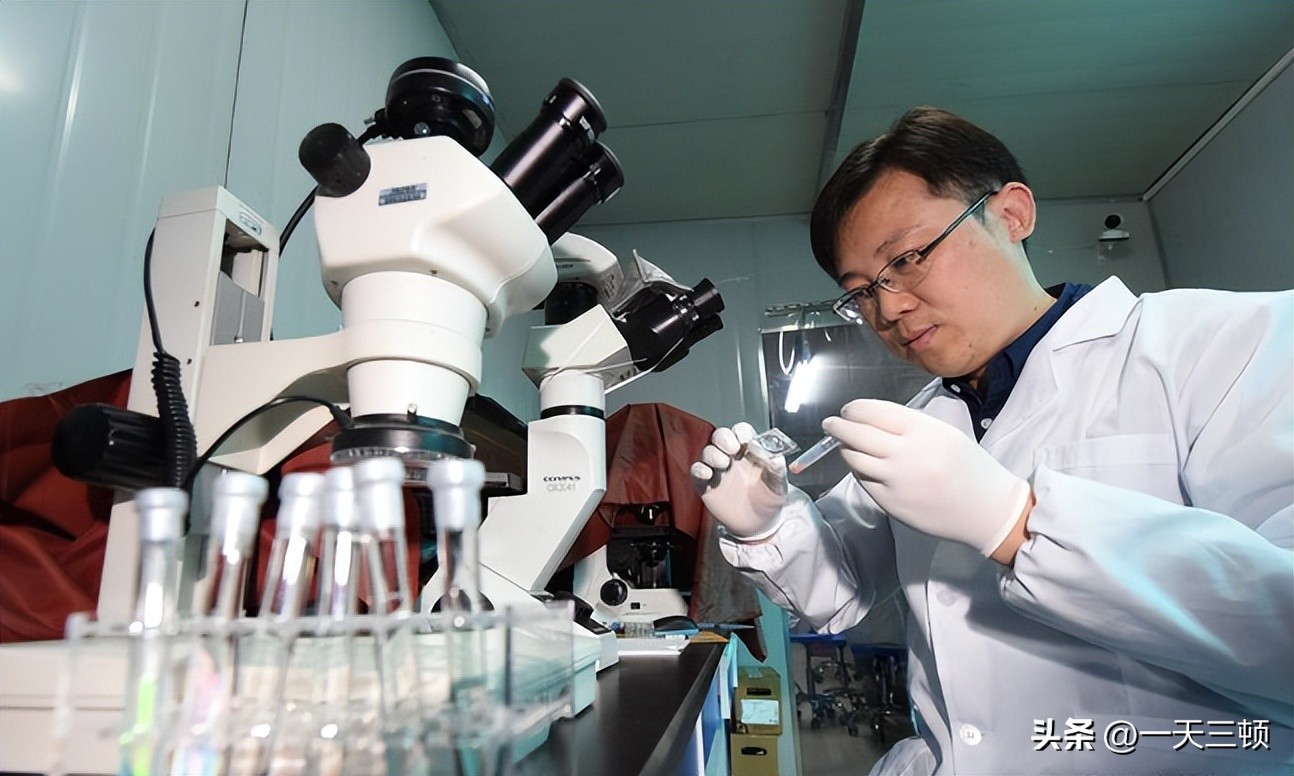 五粮液酿酒操作全过程,五粮液酿酒的方法全过程