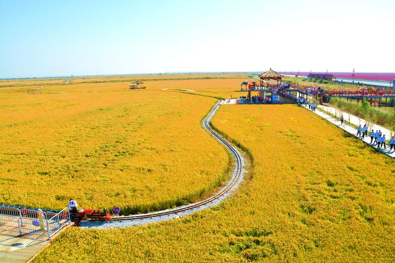 辽宁盘锦在哪个地方,去盘锦旅游哪里好