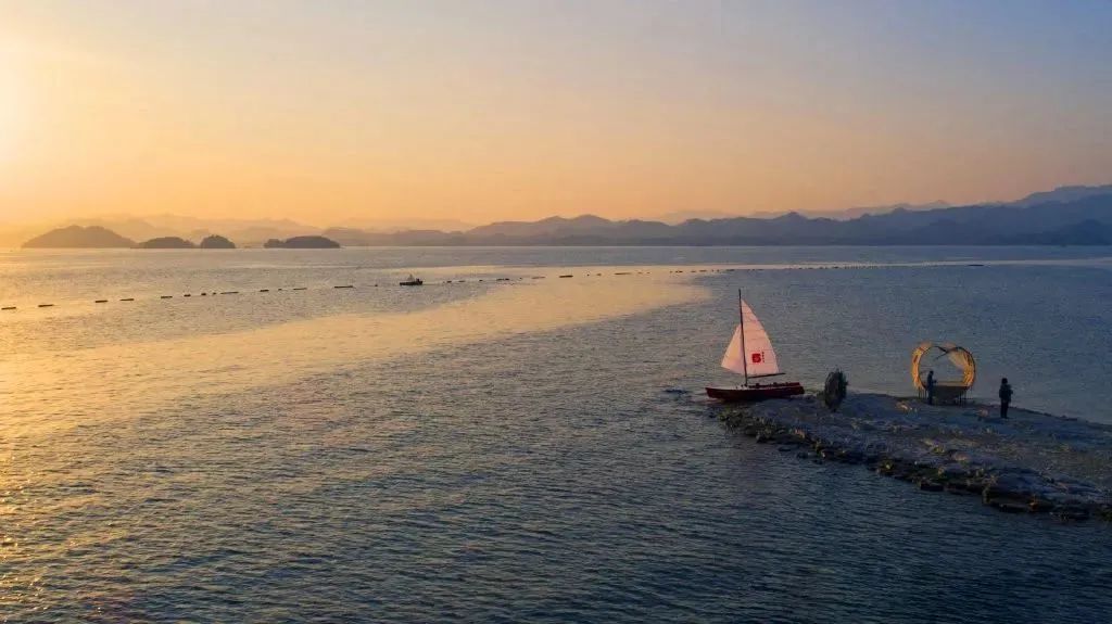 陈妙林直播,开元酒店集团董事长陈妙林