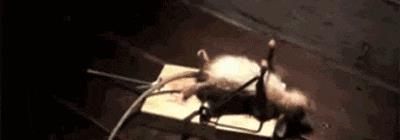 突然冒出一片气泡,突然冒了小小的水泡泡