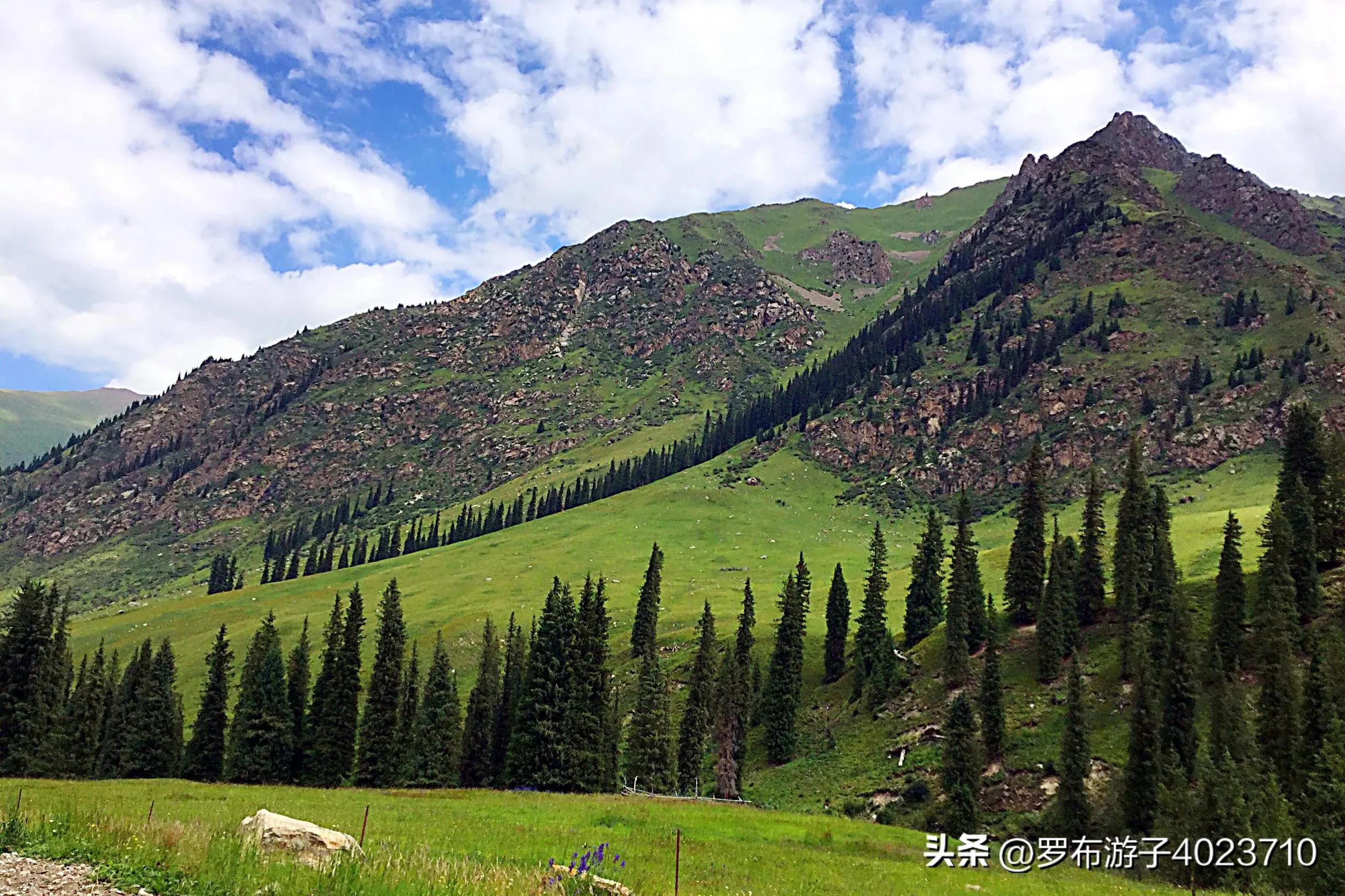 伊力大老窖和小老窖,泸州老窖和伊力老窖