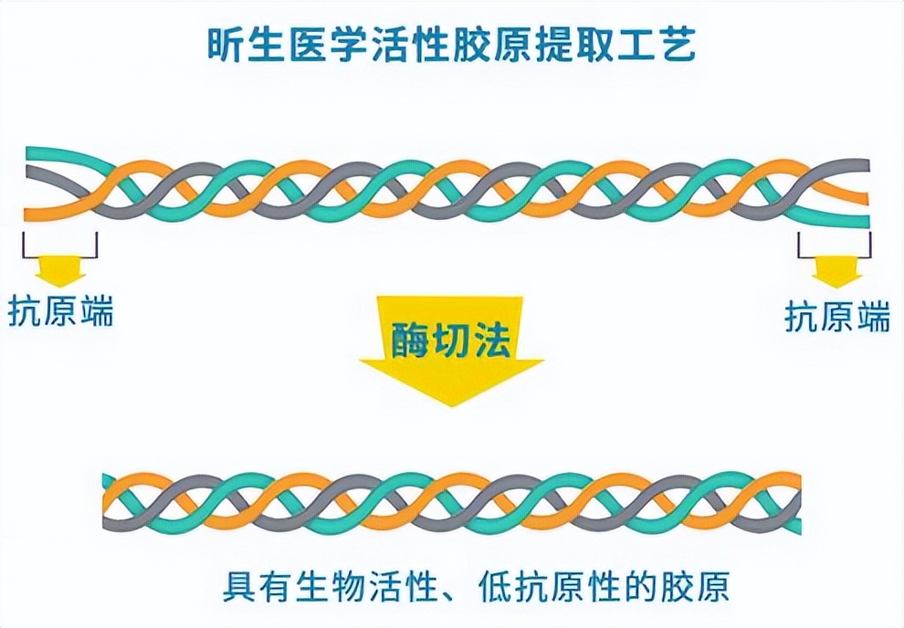 植美村护肤沙龙系列重磅上市,植美村的新品有哪些