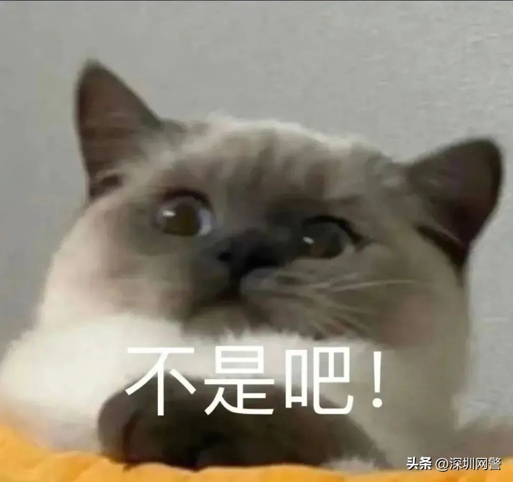 #净网2023#浙江公安网安部门适用《中华人民共和国数据安全法》对违法单位罚款100万元