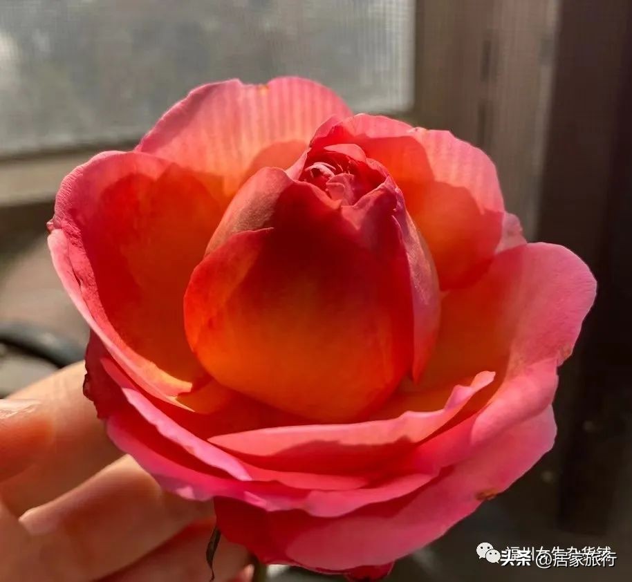 春风250sr打火以后咔咔的响,春风以后