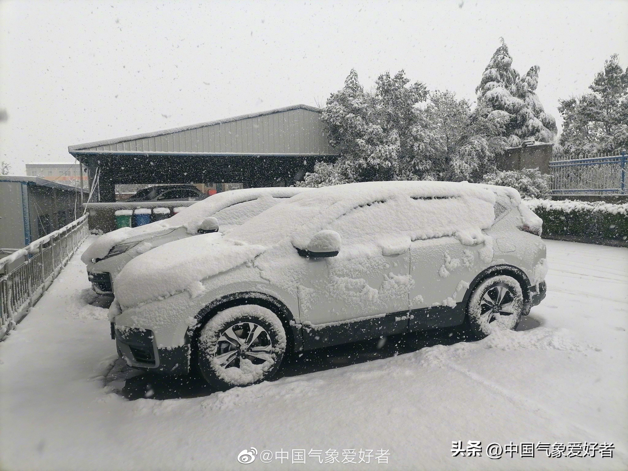 桃花暴雪突袭河南等省,这到底意味着什么?
