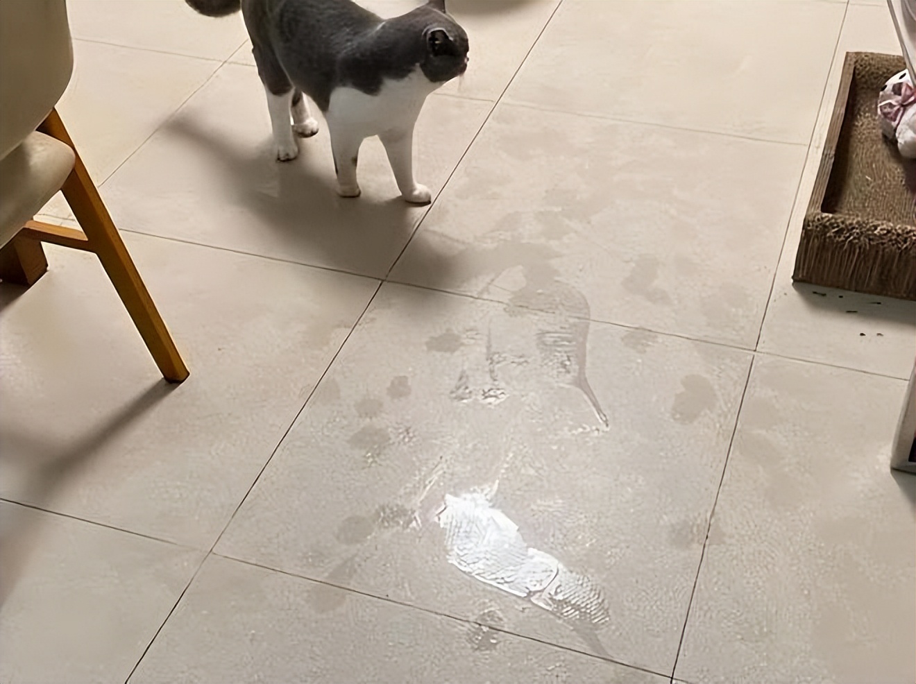 潮湿天气是开窗好还是不开窗好,水泥地面潮湿开窗好还是不开窗