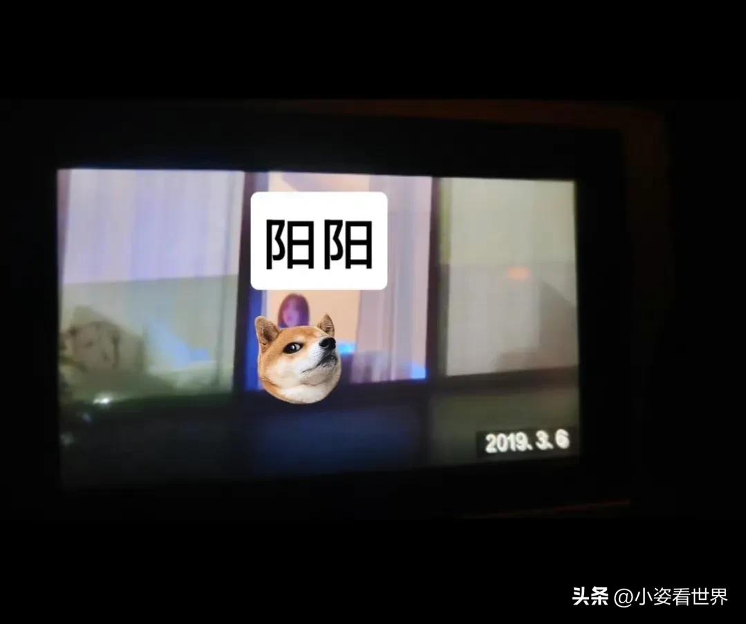 鹿晗宋妍霏乔欣,鹿晗孙嘉灵宋妍霏