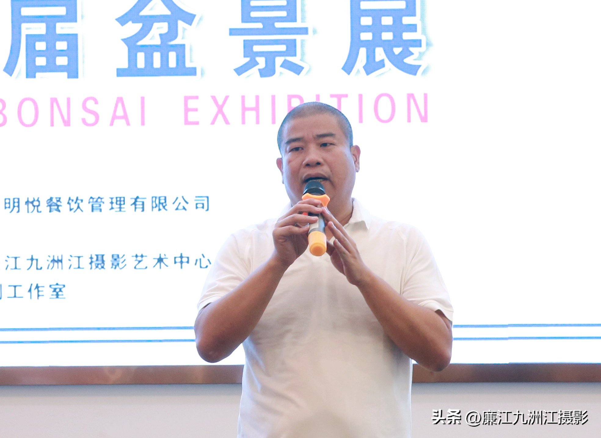 最高端的盆景展,一场惊艳的盆景展