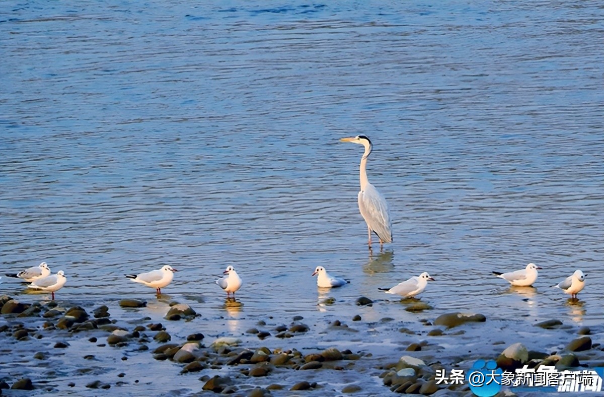 河南省黄河迎宾馆雪景,洛阳春来花似锦