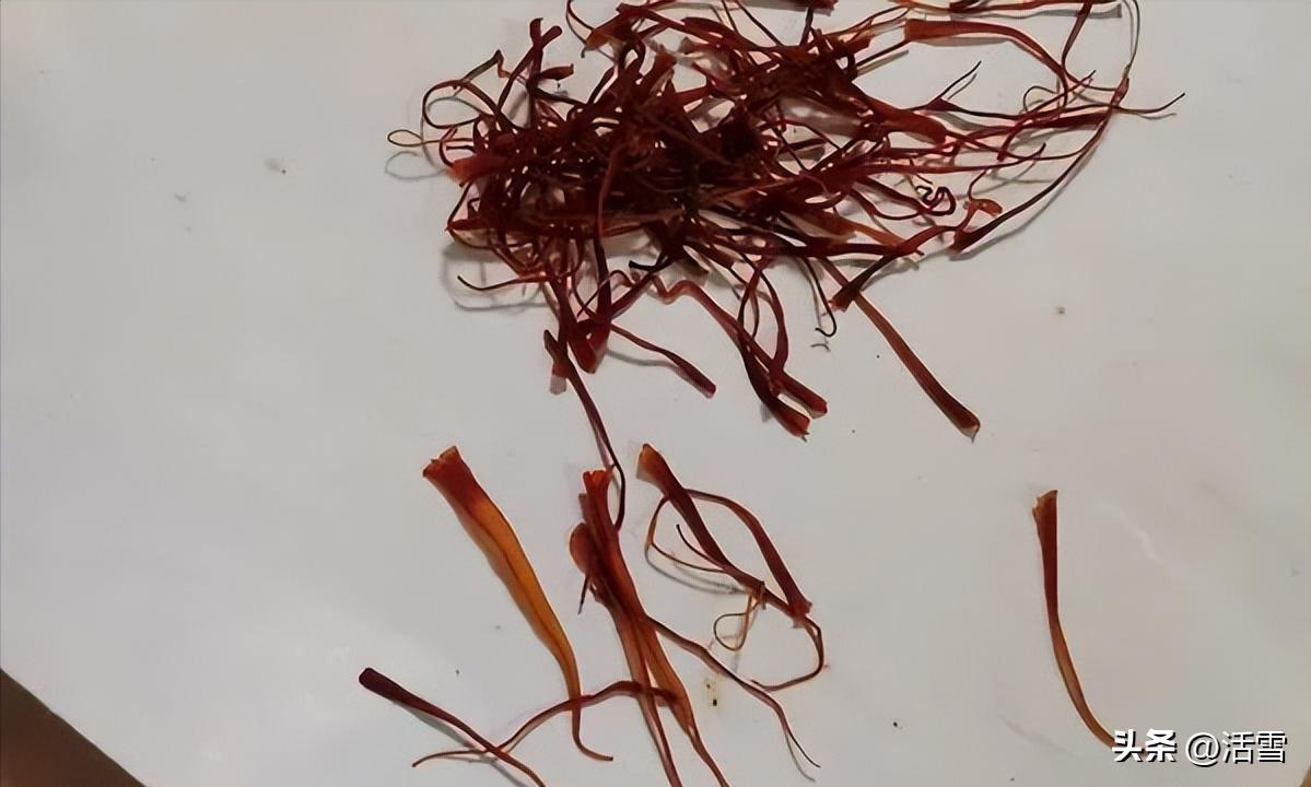 藏红花过期了还可以怎么用,藏红花过期了但保存得很好能喝吗