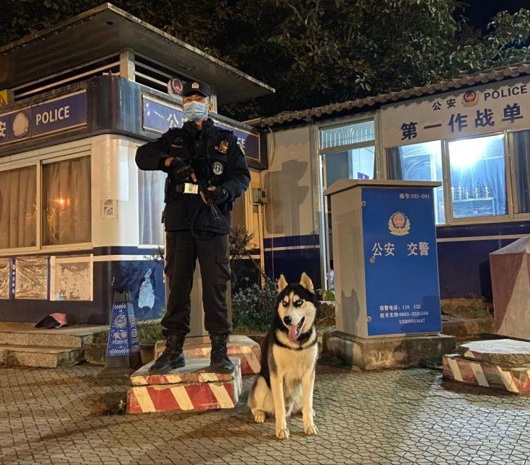 为什么太聪明的狗不适合当警犬,警犬的训犬员能自己挑选犬吗