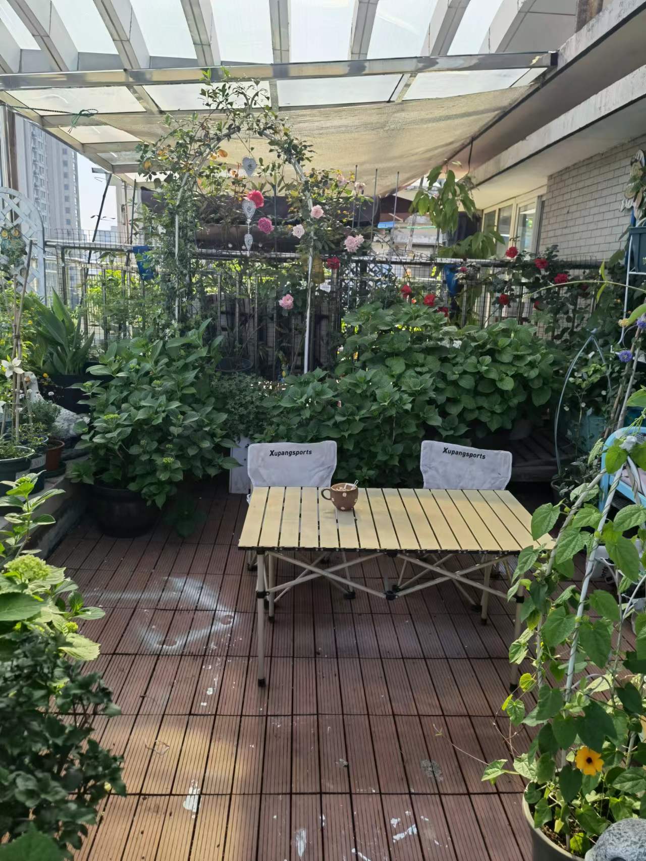 夏日驱蚊的好物分享,夏日家庭必备驱蚊好物