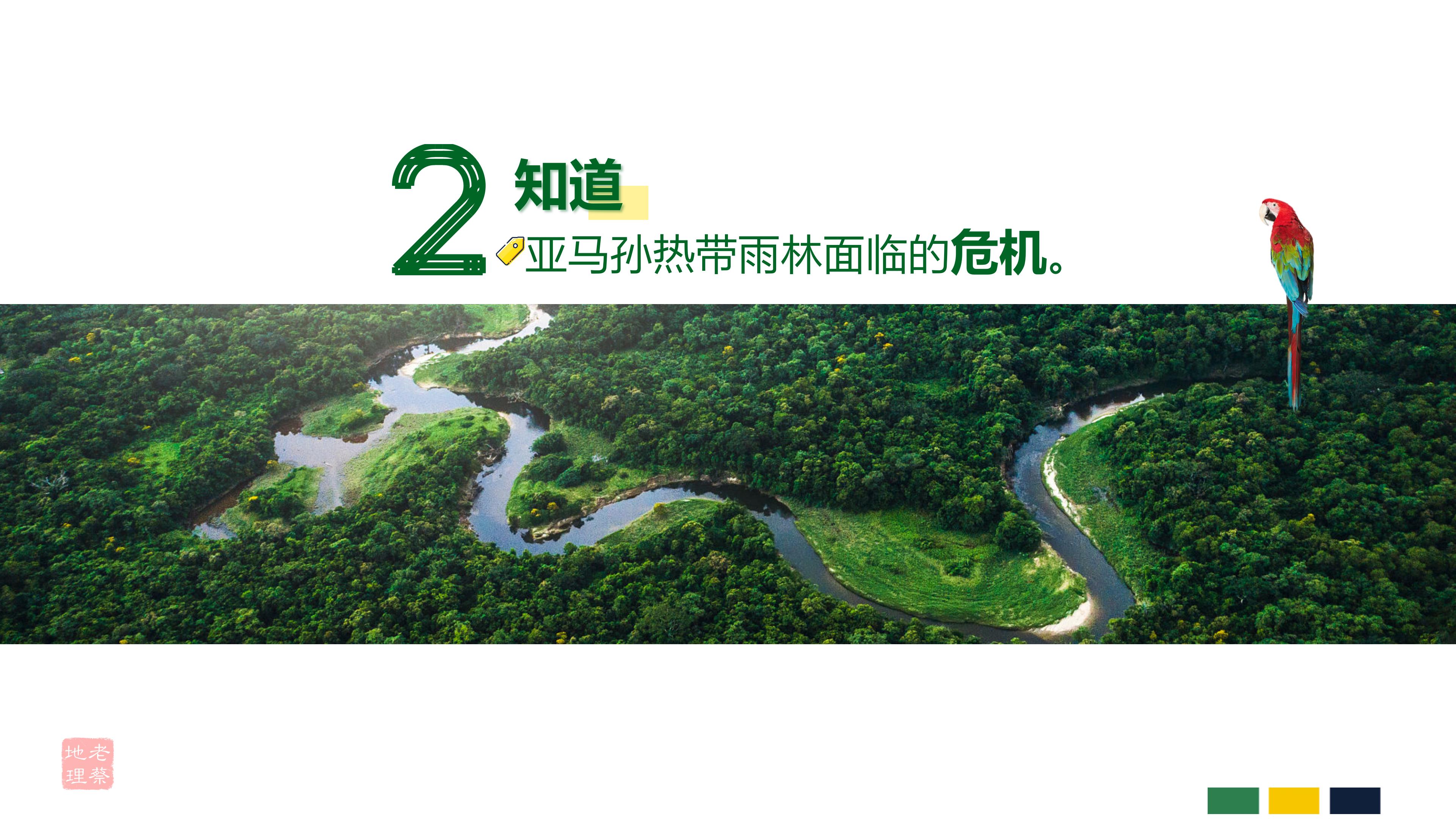 初中地理巴西知识点思维导图,七年级下册地理巴西教案人教版