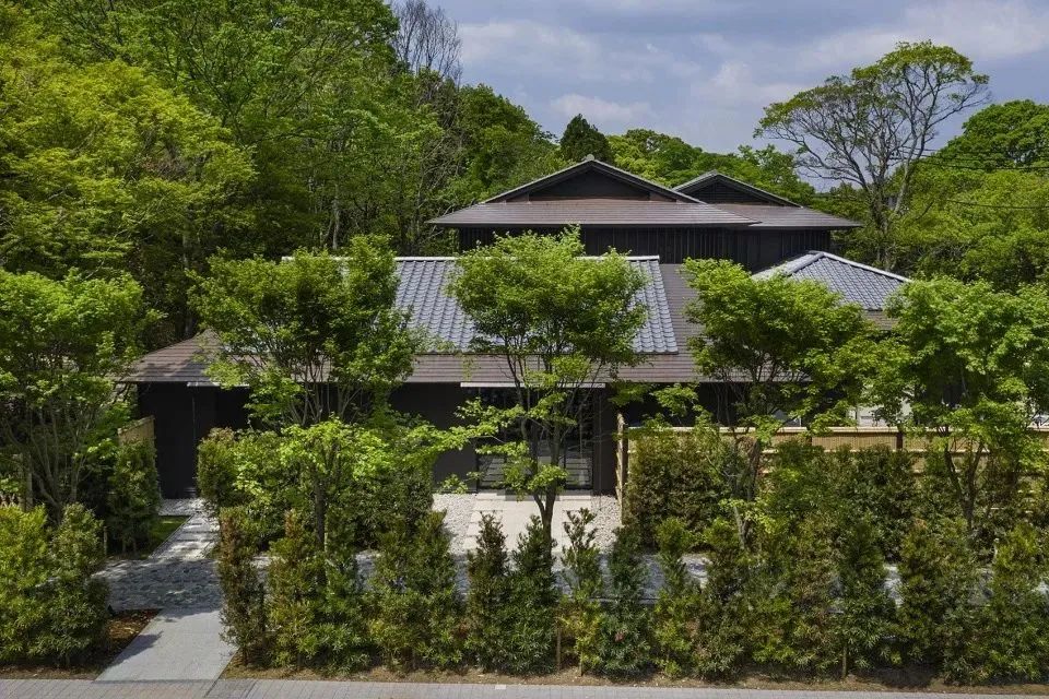 去日本旅游订酒店好还是民宿好,日本旅游选酒店小技巧